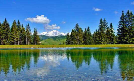 Photo d'un lac entouré de sapins à Crest Voland