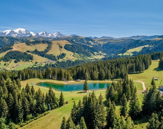 Paysage d'un lac avec forêts à Crest Voland